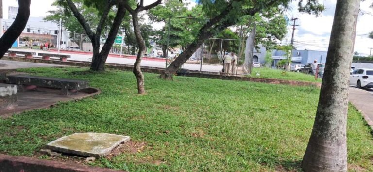 População pode acionar zeladoria da Sesuz através do aplicativo ‘João Pessoa na palma da Mão’