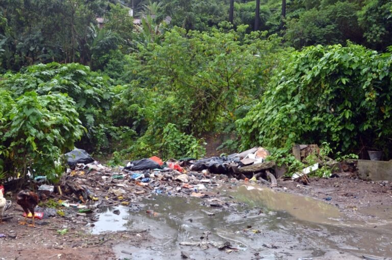 Prefeitura faz ação conjunta para desobstrução das margens do Rio Jaguaribe