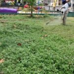 Sesuz atende pedido da população e executa serviços em praças de Mangabeira e Altiplano