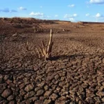 5 cidades em situação de emergência por estiagem na paraíba, diz governo federal