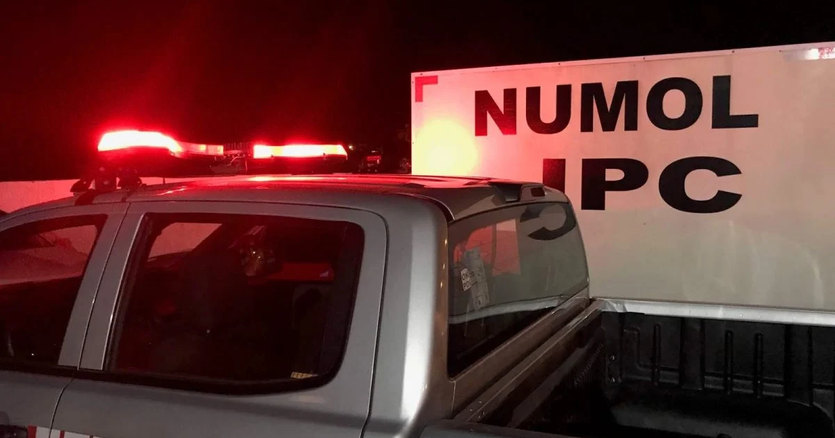 duplo homicídio em bebelândia, santa rita: testemunha sobrevive, polícia inicia investigação