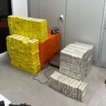 polícia prende mulher após 464 kg de drogas escondidos em carga de milho, joão pessoa