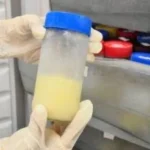doação de leite humano: instituto cândida vargas lança campanha em novembro para prematuros