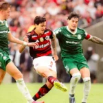 palmeiras e flamengo são 'superpotências', diz the guardian sobre final da libertadores