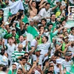 torcedor do palmeiras morre em lima antes da final da libertadores; entenda o motivo
