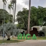 tragédia na bica: homem morre após invadir jaula de leoa em joão pessoa