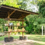 tragédia no parque da bica: homem invade jaula de leoa e morre; parque é interditado