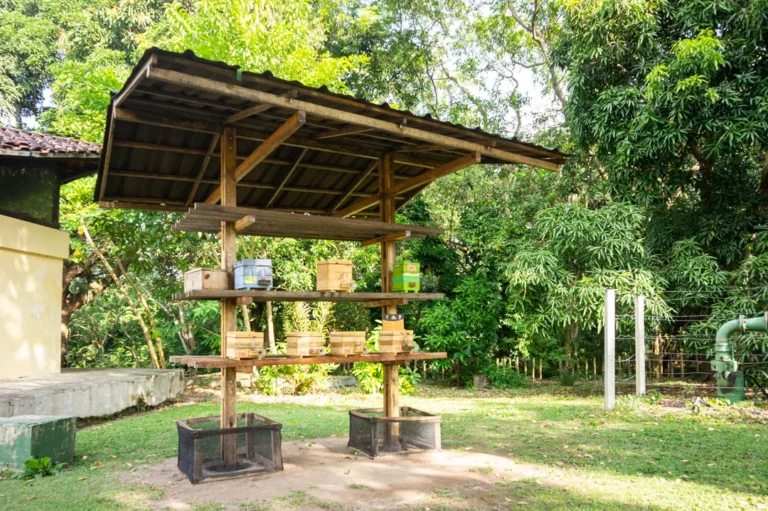 tragédia no parque da bica: homem invade jaula de leoa e morre; parque é interditado