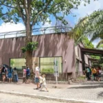 homem morre após invadir jaula de leoa na bica, em joão pessoa, em possível ato de suicídio