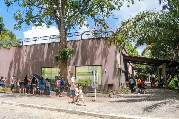 homem morre após invadir jaula de leoa na bica, em joão pessoa, em possível ato de suicídio