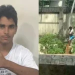 jovem "vaqueirinho", 19, morre ao invadir jaula de leoa na bica em joão pessoa