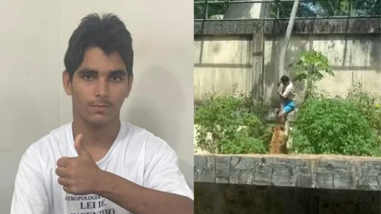 jovem "vaqueirinho", 19, morre ao invadir jaula de leoa na bica em joão pessoa