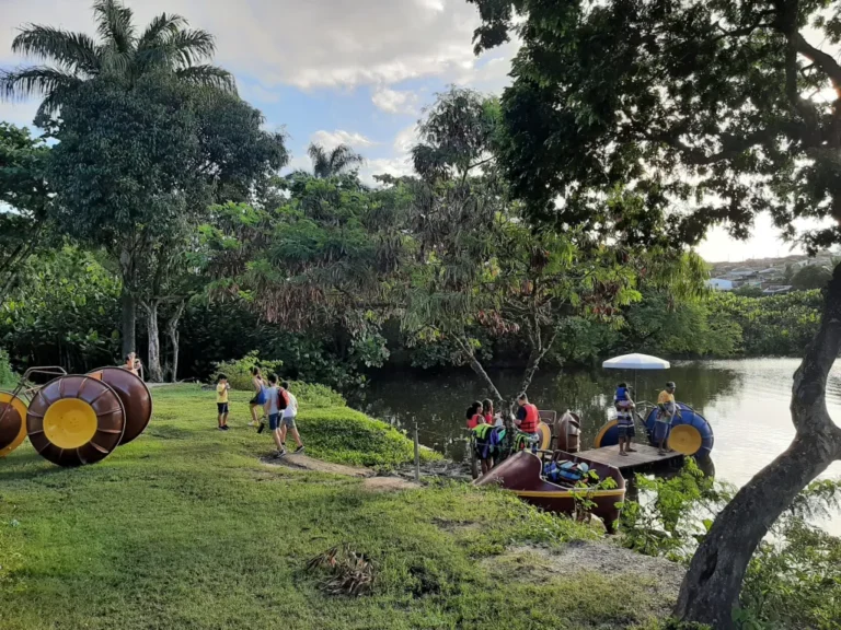 bica: comissão do crmv pb investiga segurança após morte trágica em jaula de leoa