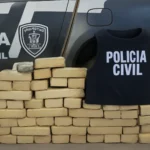 apreensão de droga: polícia civil apreende cerca de 50 kg em joão pessoa, valentina