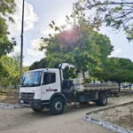 joão pessoa: sedurb realiza quase 1.200 podas de árvores em novembro
