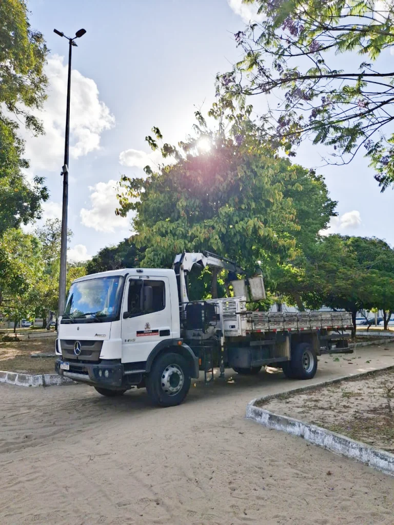 joão pessoa: sedurb realiza quase 1.200 podas de árvores em novembro