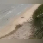 casal é flagrado em atos libidinosos em praia turística de joão pessoa