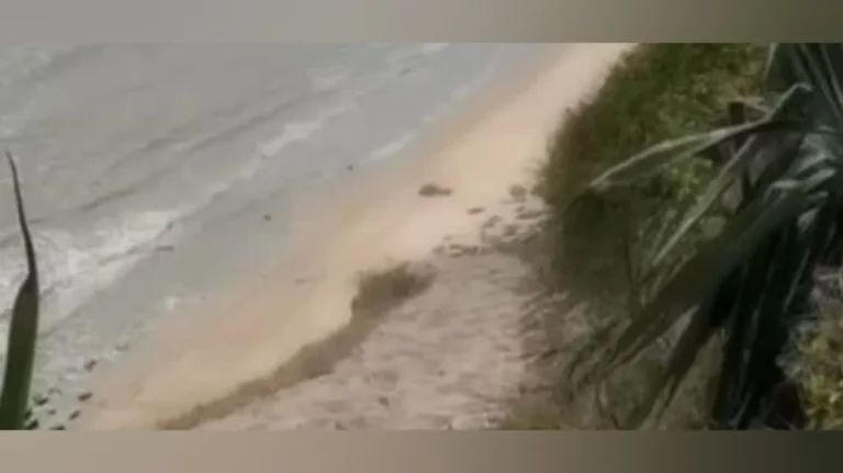 casal é flagrado em atos libidinosos em praia turística de joão pessoa