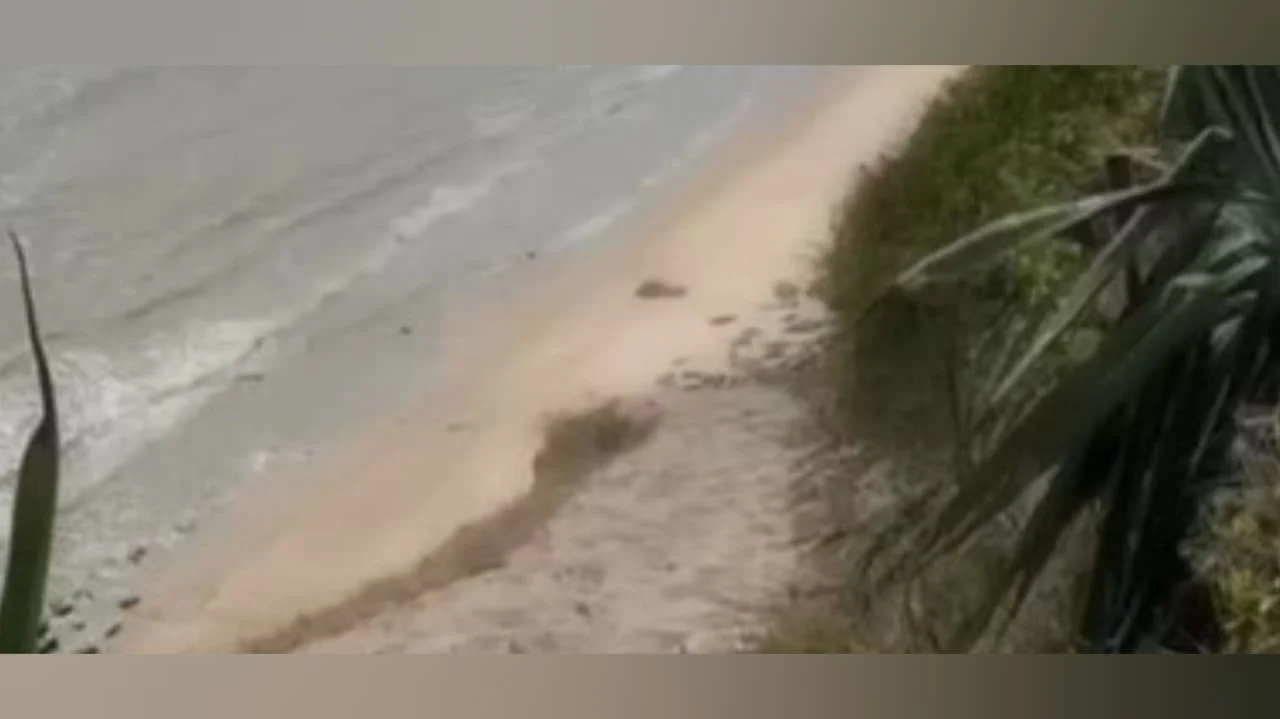 casal é flagrado em atos libidinosos em praia turística de joão pessoa