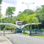 ufpb: mais de 8 mil vagas no sisu 2026! conquiste seu lugar na universidade pública