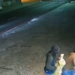 gangue da marcha ré tenta arrombar loja de surf em mandacaru, mas falha