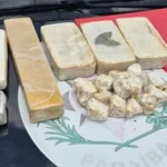 polícia militar apreende tabletes de cocaína, crack e maconha em terreno baldio na paraíba