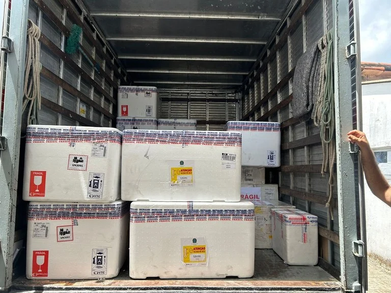 paraíba: 13.570 doses da vacina vsr para gestantes chegam ao estado