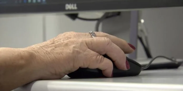 brasil: 8,3 milhões de idosos trabalham e alcançam recorde histórico de ocupação