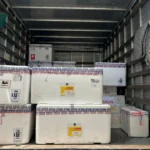 paraíba recebe 13.570 doses de vacina contra vsr para gestantes: proteção para bebês
