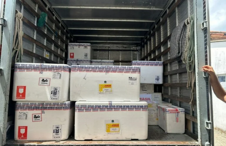 paraíba recebe 13.570 doses de vacina contra vsr para gestantes: proteção para bebês