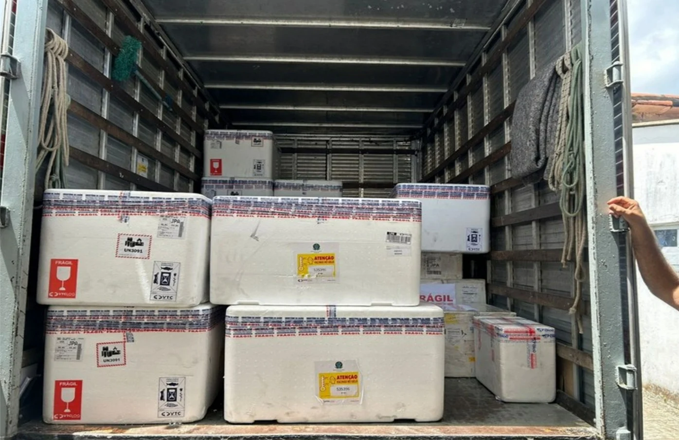 paraíba recebe 13.570 doses de vacina contra vsr para gestantes: proteção para bebês