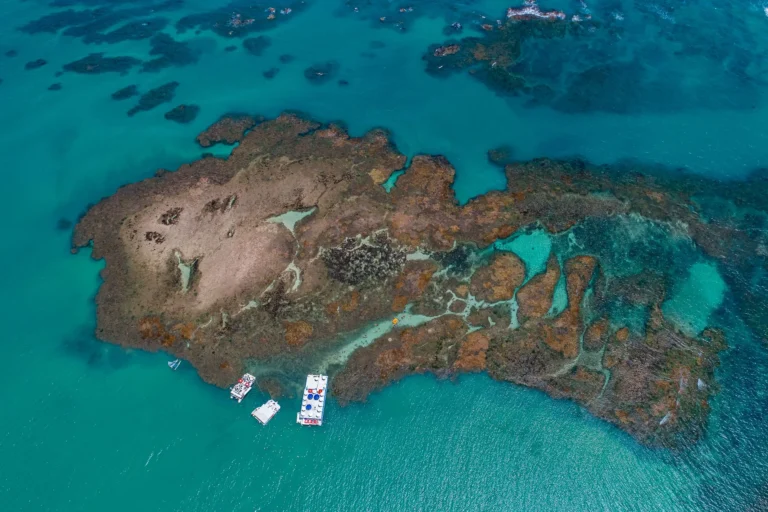 picãozinho: mergulhe nas piscinas naturais de joão pessoa com guia completo!