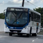 Ônibus em campina grande: frota reforçada para feriado de nossa senhora da conceição