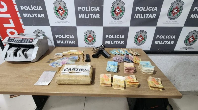 paraíba: 400 espécies de aves encantam turistas em roteiros de observação