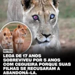 leoa cega de 17 anos teria vivido cinco anos com ajuda das filhas, diz relato viral