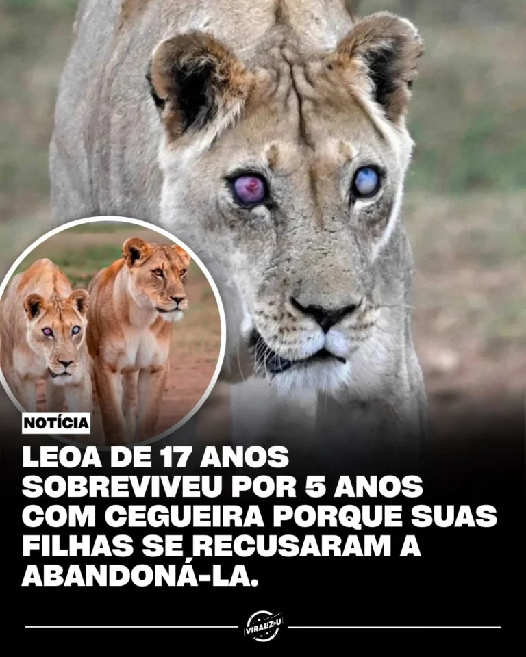 leoa cega de 17 anos teria vivido cinco anos com ajuda das filhas, diz relato viral