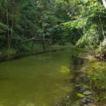 rio do gozo: o santuário potiguara de Águas cristalinas na paraíba