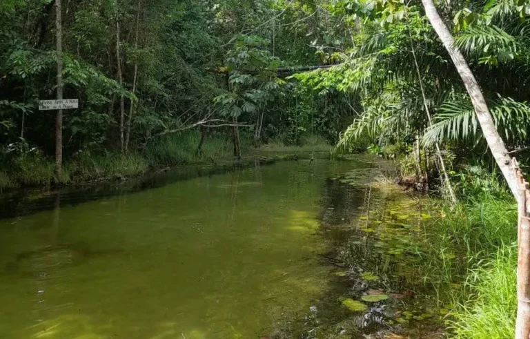 rio do gozo: o santuário potiguara de Águas cristalinas na paraíba