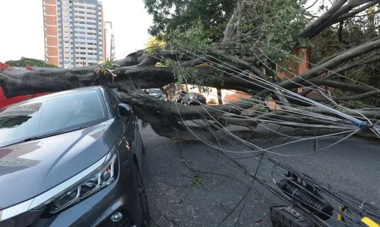 ciclone derruba energia em sp: comércio de são paulo perde r$ 51,7 milhões