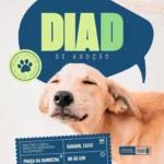 dia d de adoção em campina grande: adote um amigo e combata o abandono 🐶🐈