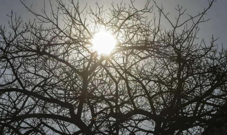 sine pb: mais de mil vagas de emprego abertas em 12 cidades da paraíba