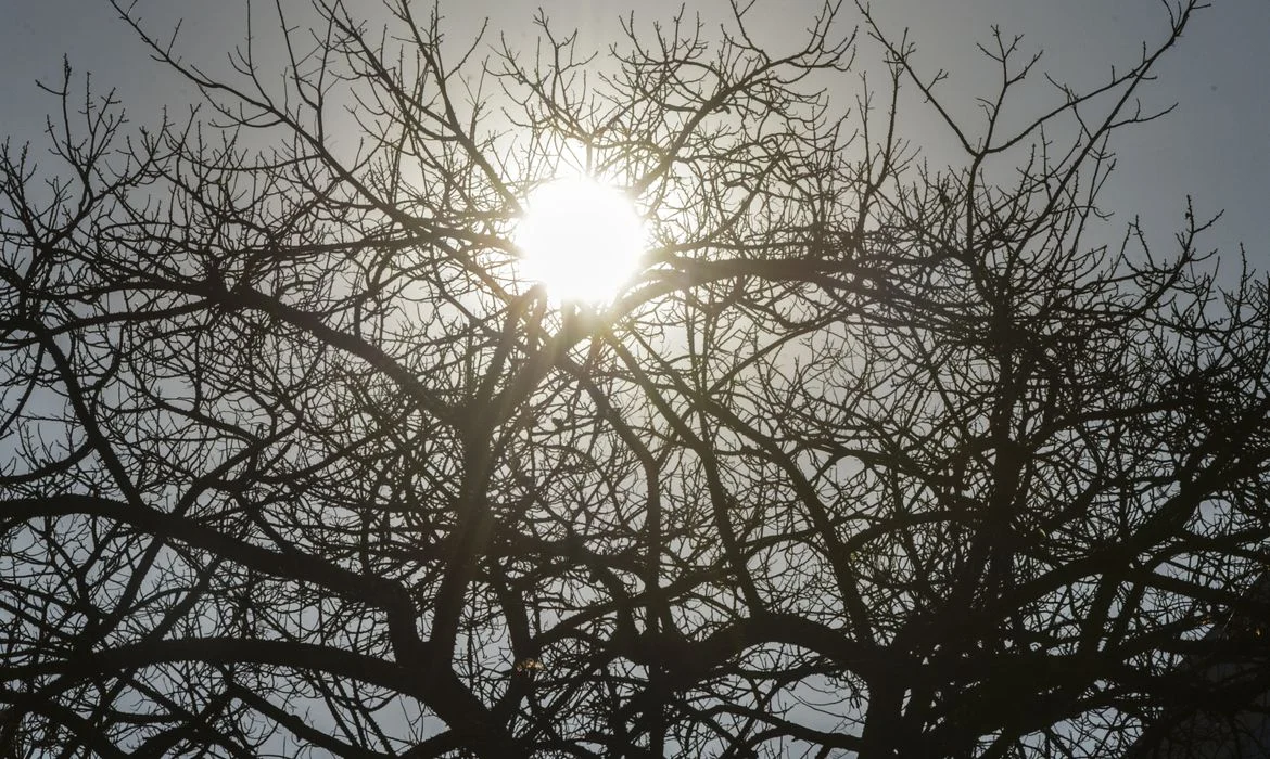 mutirão ufpb: 2,5 mil atendimentos em cirurgias, consultas e exames neste sábado