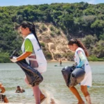 detran pb: serviços de veículos suspensos de 29/12 a 01/01. saiba o que muda!