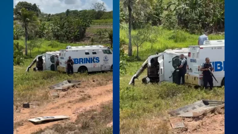 tre pb em recesso: saiba como ficam os serviços e o atendimento ao eleitor até janeiro de 2026