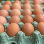 lula tem 2 semanas para vetar pl da dosimetria que reduz penas de crimes contra a democracia