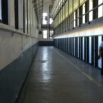 raiva humana em campina grande: homem de 50 anos em uti após mordida de sagui