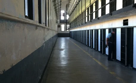 raiva humana em campina grande: homem de 50 anos em uti após mordida de sagui