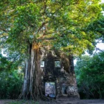 ruínas secretas na paraíba: igreja de 1700 se integra à natureza exuberante
