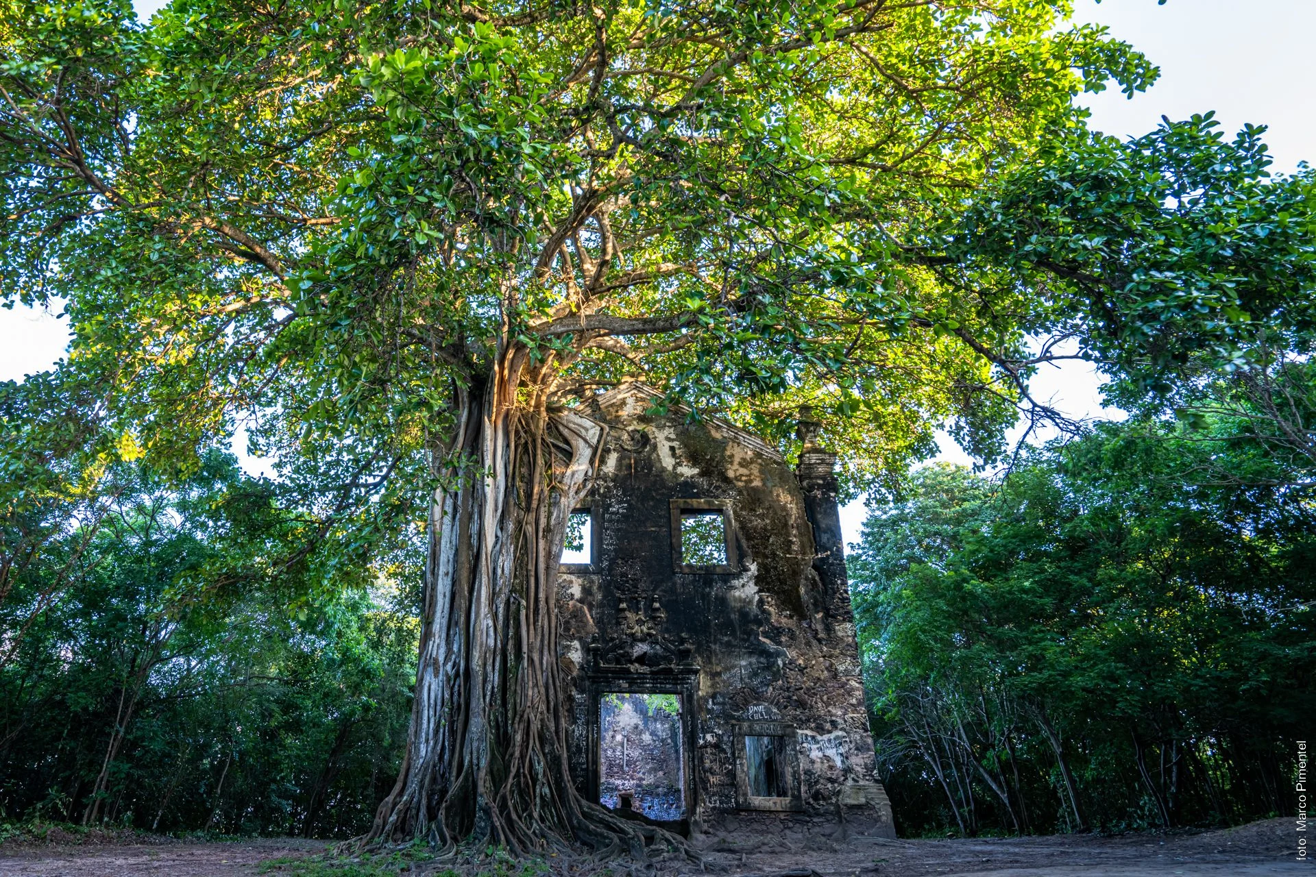 ruínas secretas na paraíba: igreja de 1700 se integra à natureza exuberante