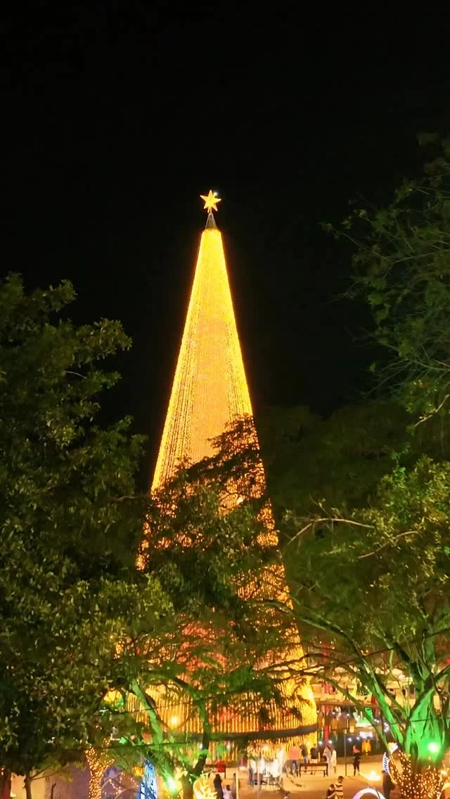 campina grande celebra o natal: magia, encontros e memórias em cenário iluminado